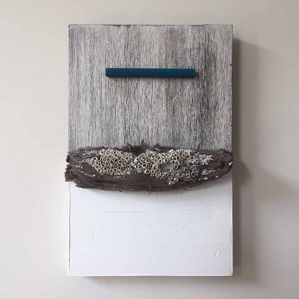 The 16 x 24 panel series #16 - acryl, hout en schelp op underlayment - door Erik Cox